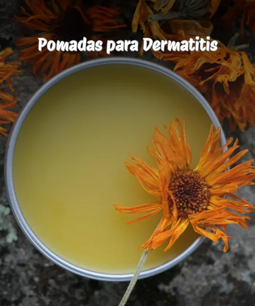 Pomadas-para-el-cuidado-de-la-piel-4.webp