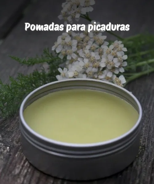Pomadas-para-el-cuidado-de-la-piel-8-1.webp