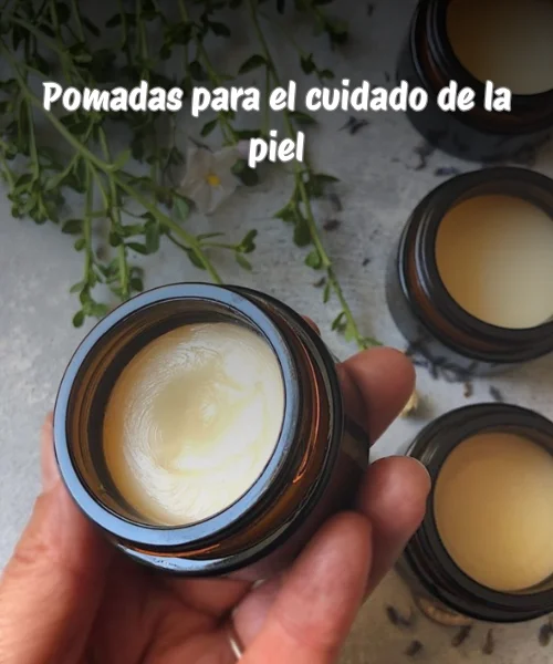Pomadas-para-el-cuidado-de-la-piel.webp